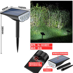 Amazon Solar Garden Pathway Lights for Festive Decor