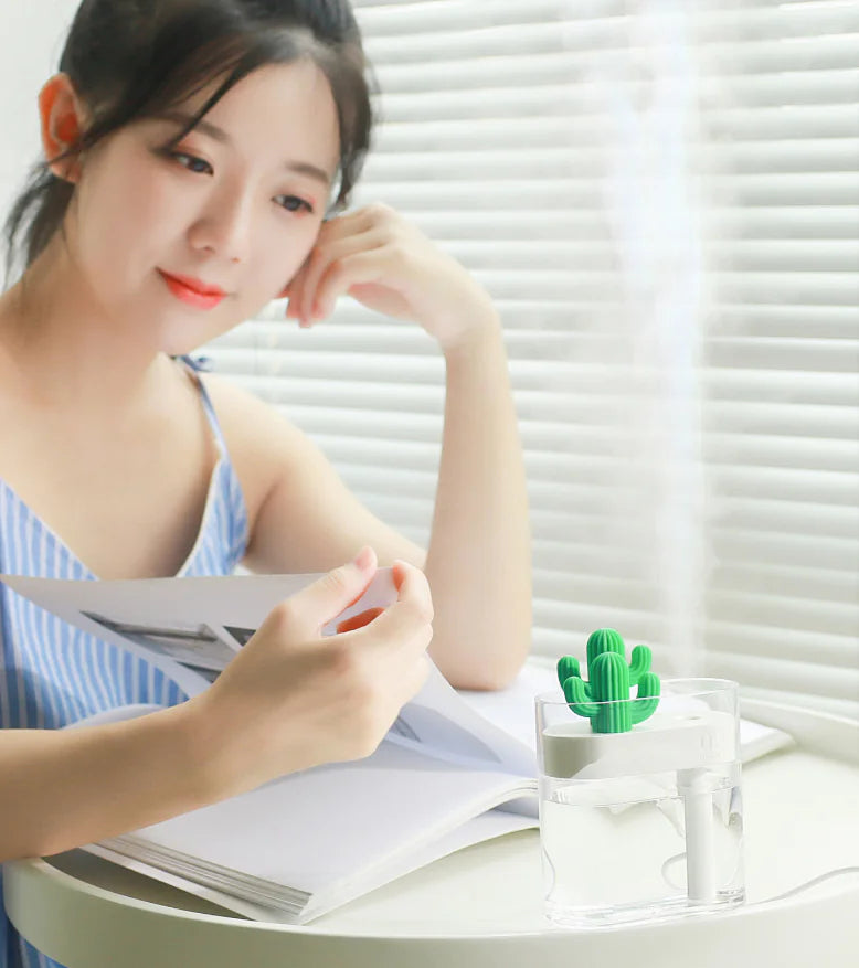 Transparent Cactus Acrylic Humidifier